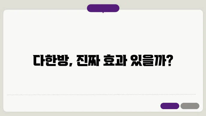 다한방 다이어트 효과를 더하기 위한 여러 전략