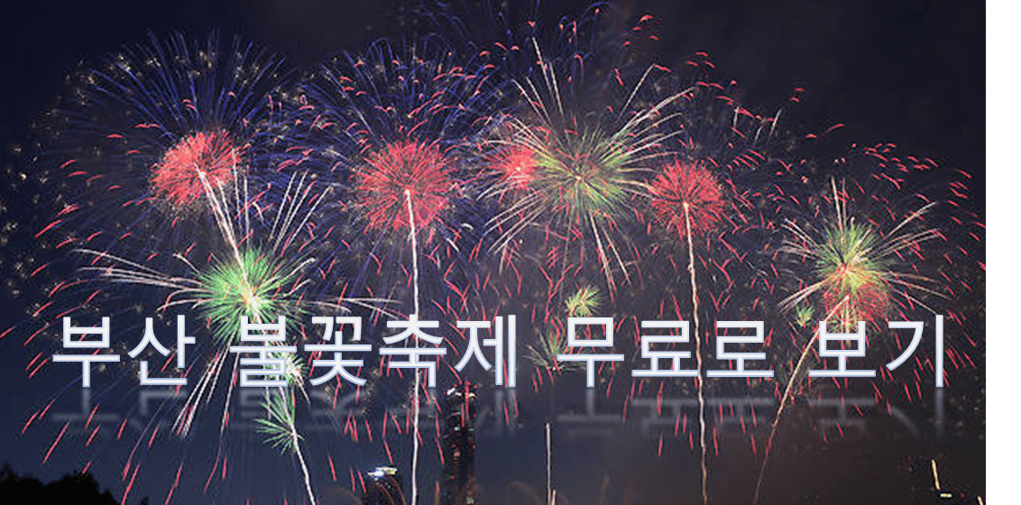 불꽃축제사진