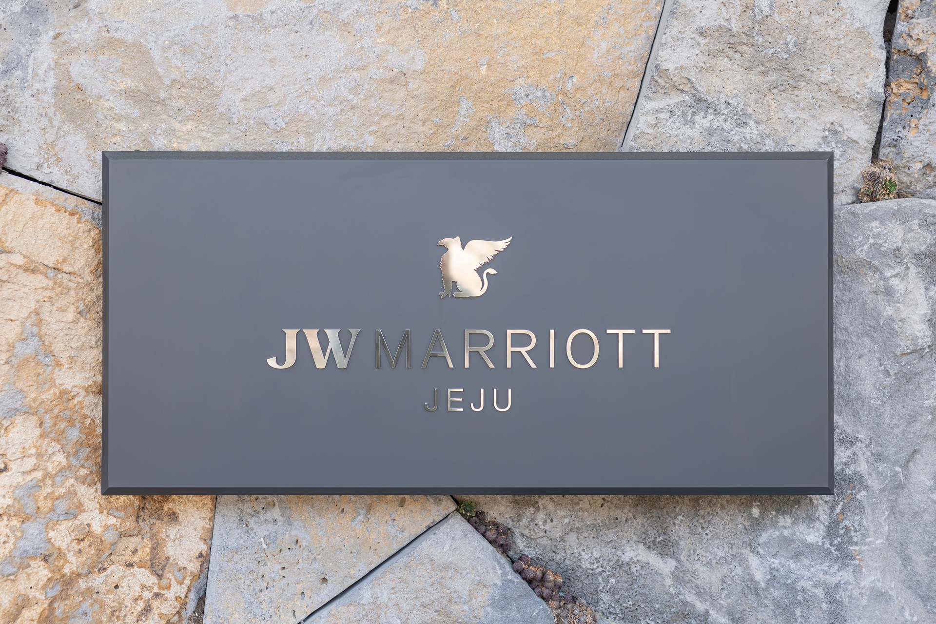 #JW메리어트 #JW메리어트제주 #JW메리어트제주리조트&스파 #범섬 #빌벤슬리 #서귀포호텔 #제주리조트 #제주메리어트 #제주여행 #제주호텔 #댄싱두루미 #더플라잉호그 #아일랜드키친