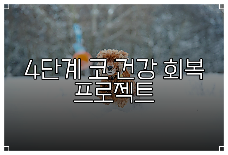 4단계 코 건강 회복 프로젝트