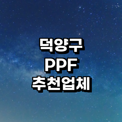 고양 덕양구 ppf