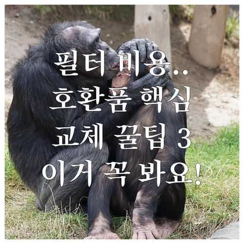 필터 교체 비용, 호환품 선택 시 체..