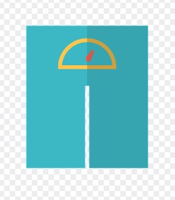 위고비 비만 치료제 가격 처방방법 출시일