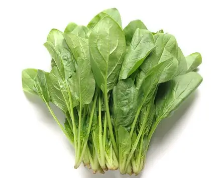시금치3