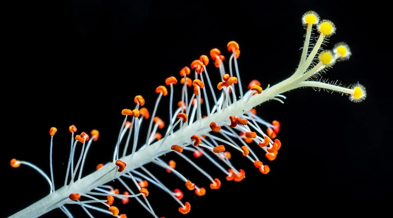 전기 배선 복구 시 주의사항