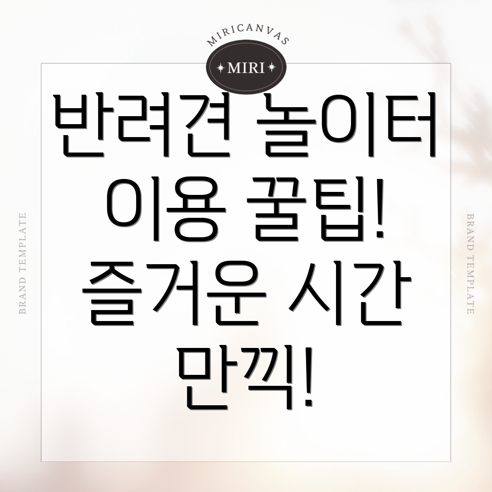 원주시 반려견 놀이터