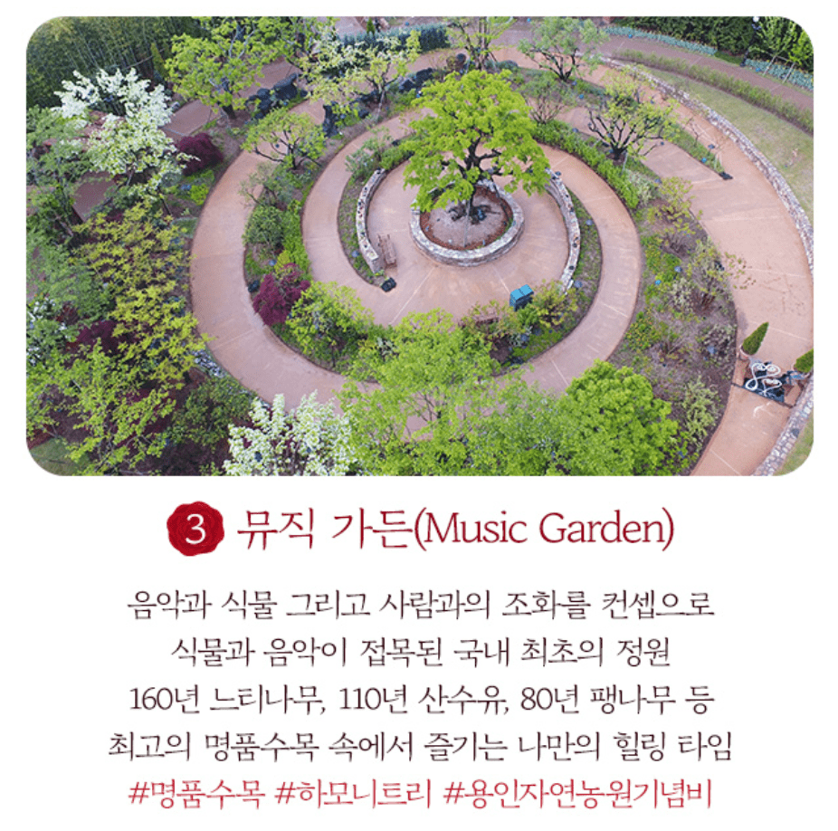 에버랜드 장미축제 입장료 가든패스 할인 기간 주차장 꿀팁