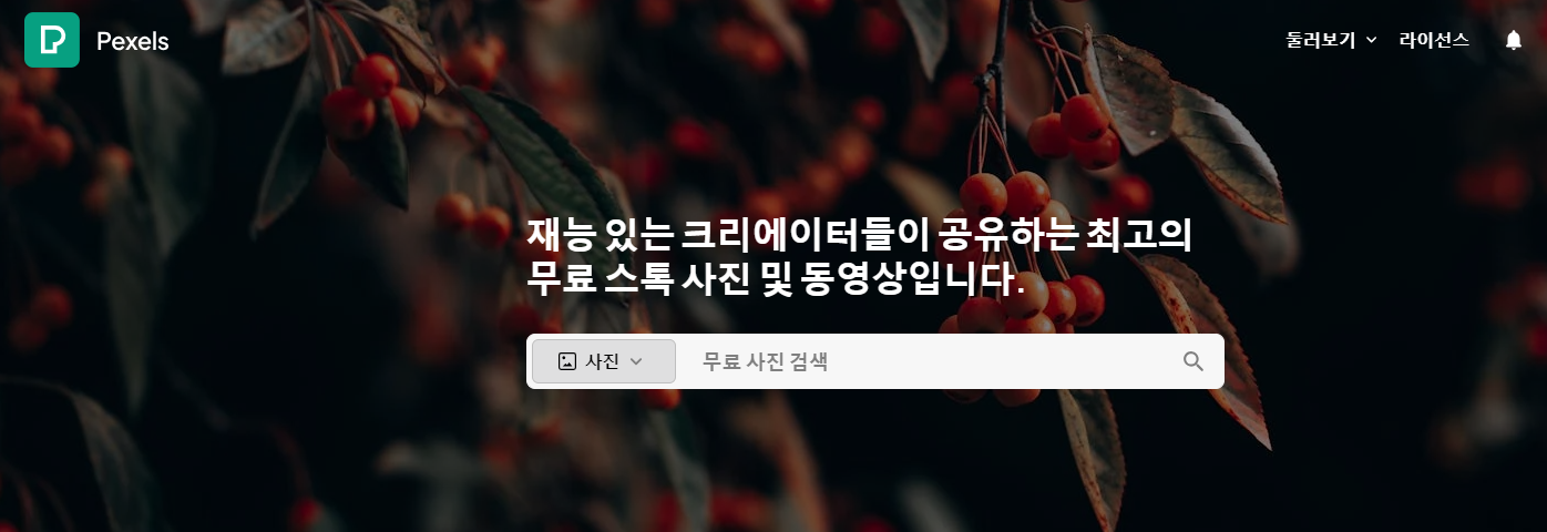 펙셀스 로고와 함께 고화질 사진과 영상 클립이 표시된 웹페이지 화면. SNS 콘텐츠에 유용한 무료 리소스 사이트