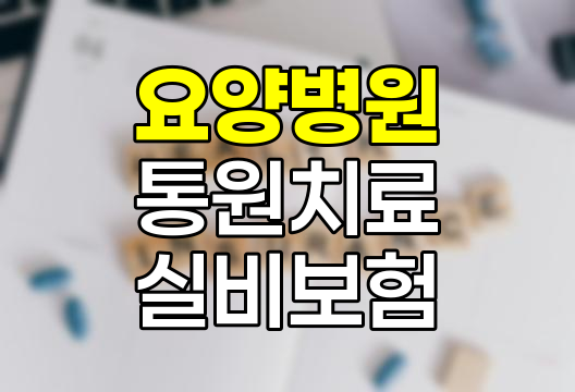 요양병원 입원 중 타병원 통원치료 실비보험 적용