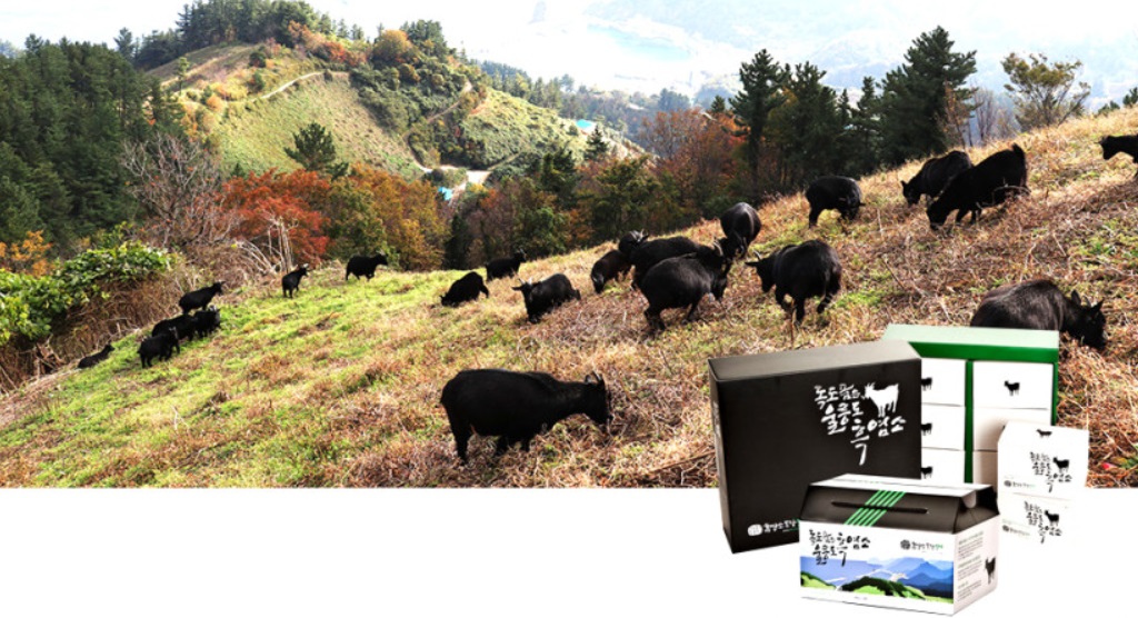 힘을내요-영철씨-강진-흑염소농장