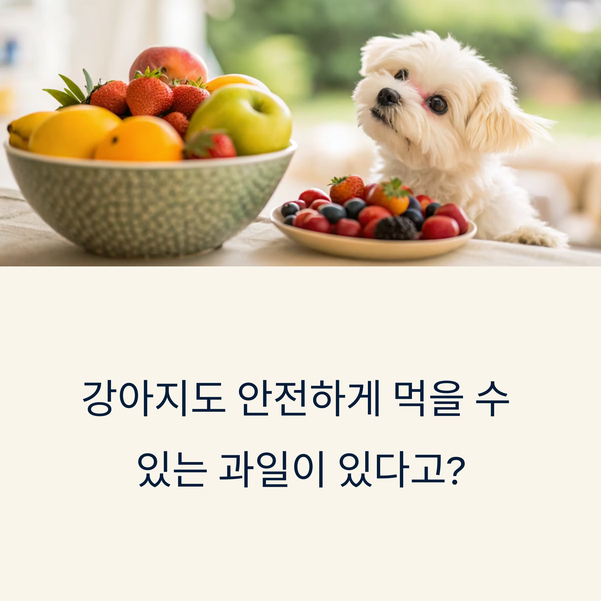 안전한 과일 리스트