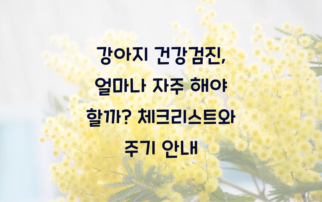 강아지 건강검진, 얼마나 자주 해야 할까?