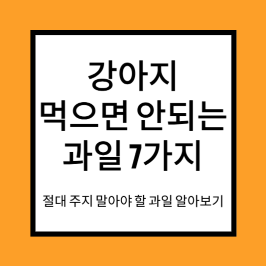 강아지 먹으면 안되는 음식