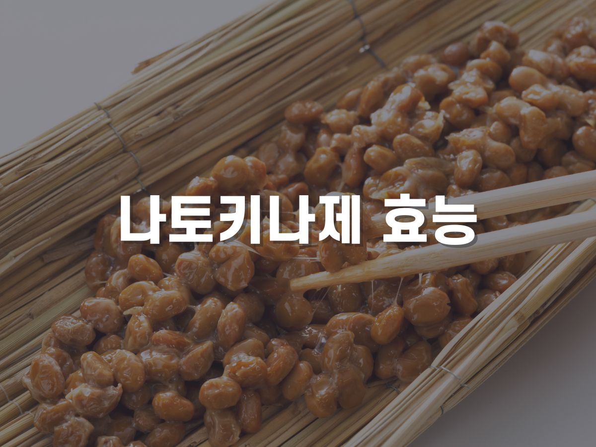 나토키나제 효능