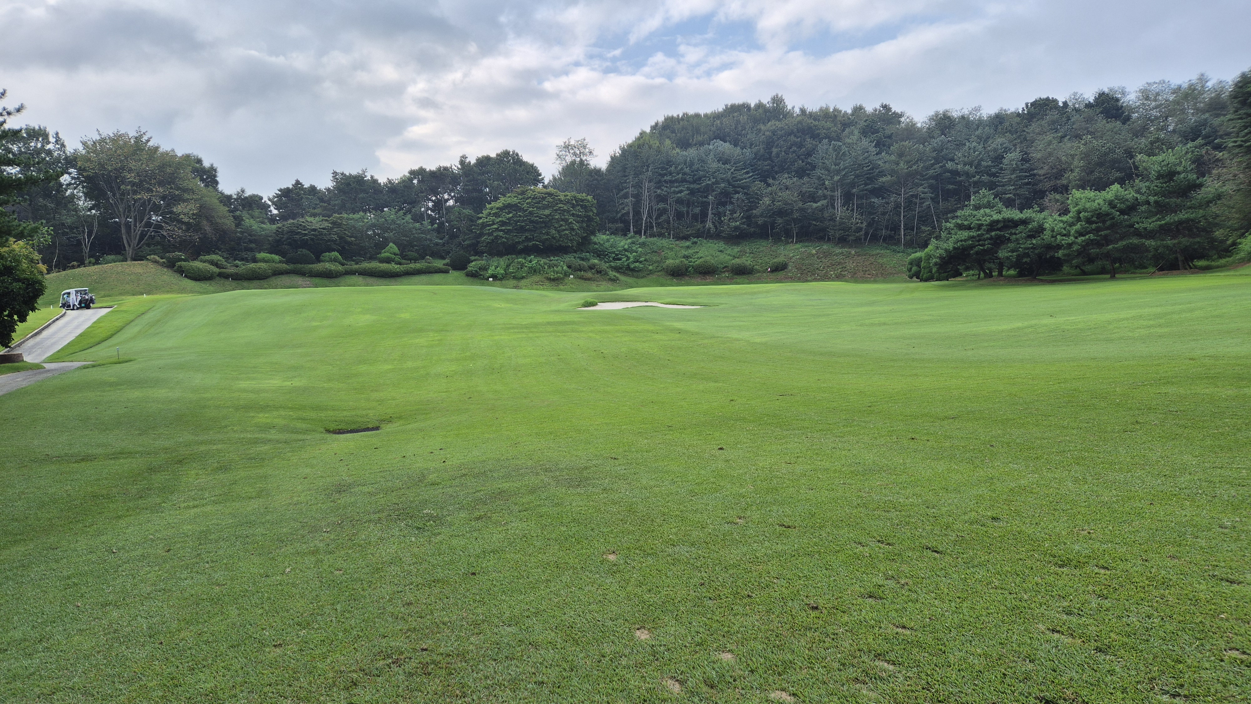 도고cc 코스 사진 및 공략 정보