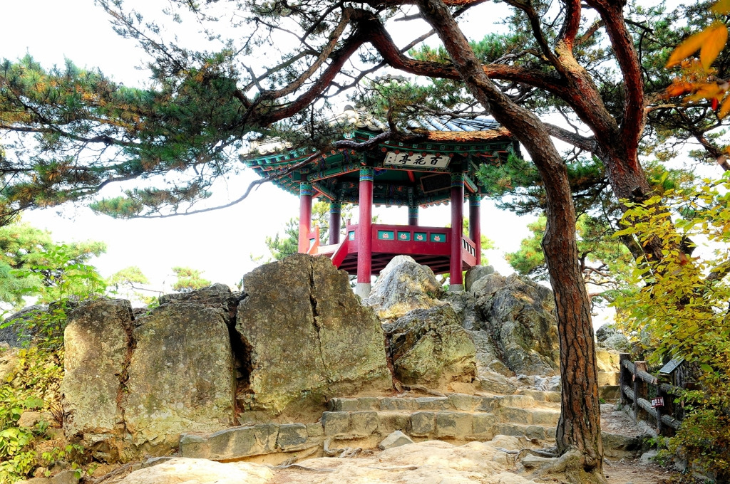낙화암