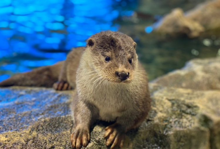 울진 아쿠아리움