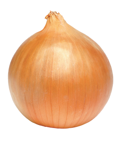 양파