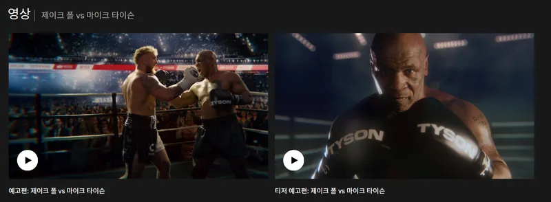 타이슨 제이크폴