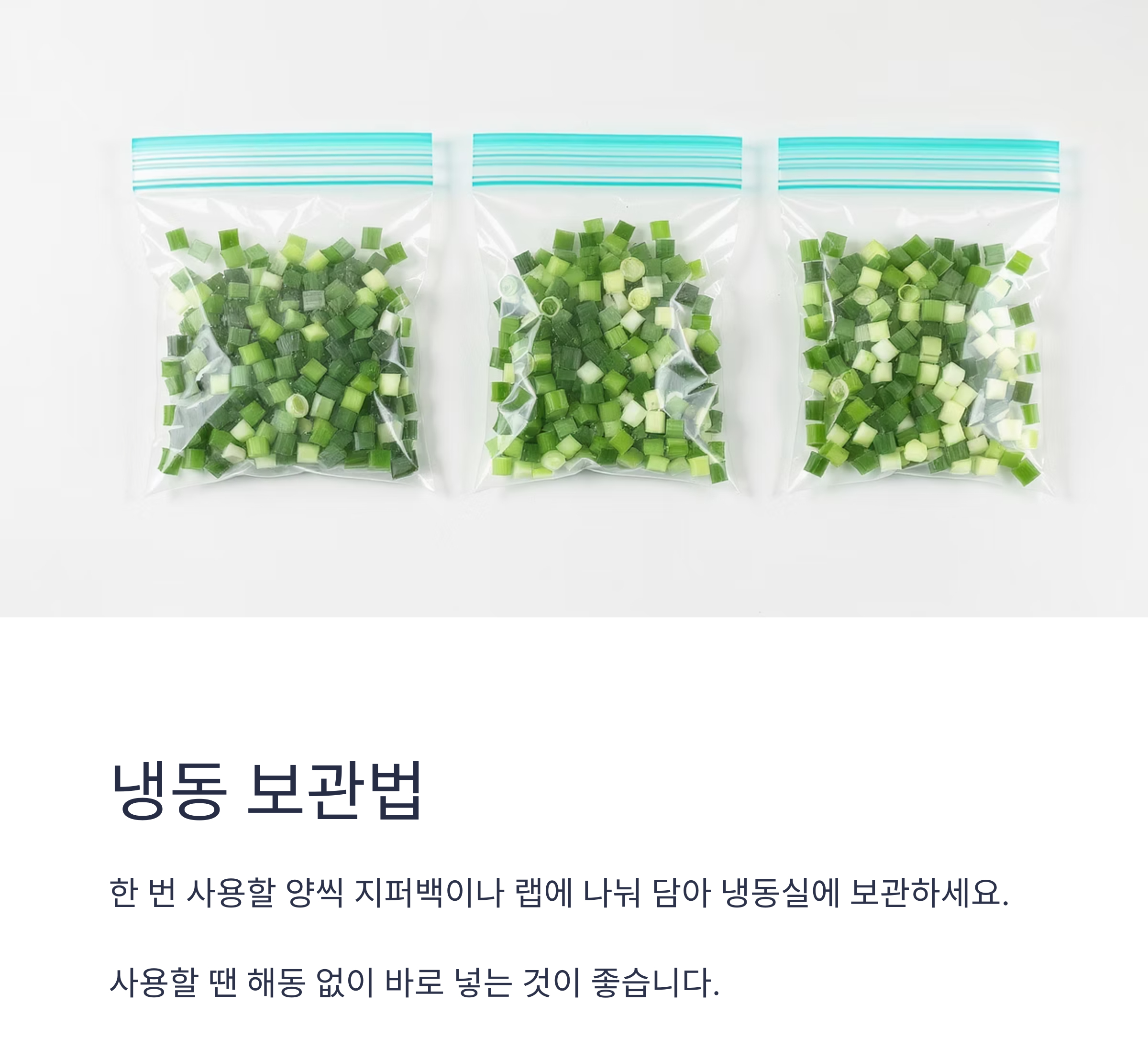 요리 초보도 쉽게! 파 손질 후 냉동·냉장 보관법 완전정복