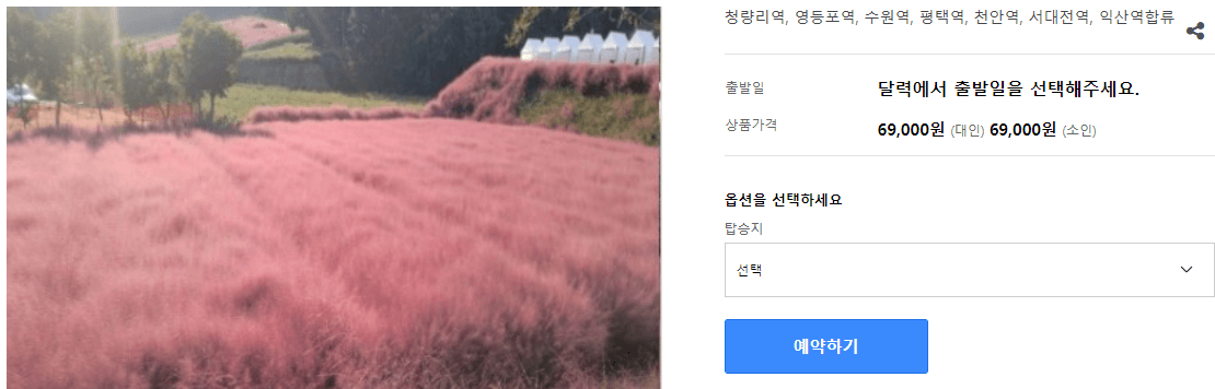 가을여행 단풍 기차여행 추천