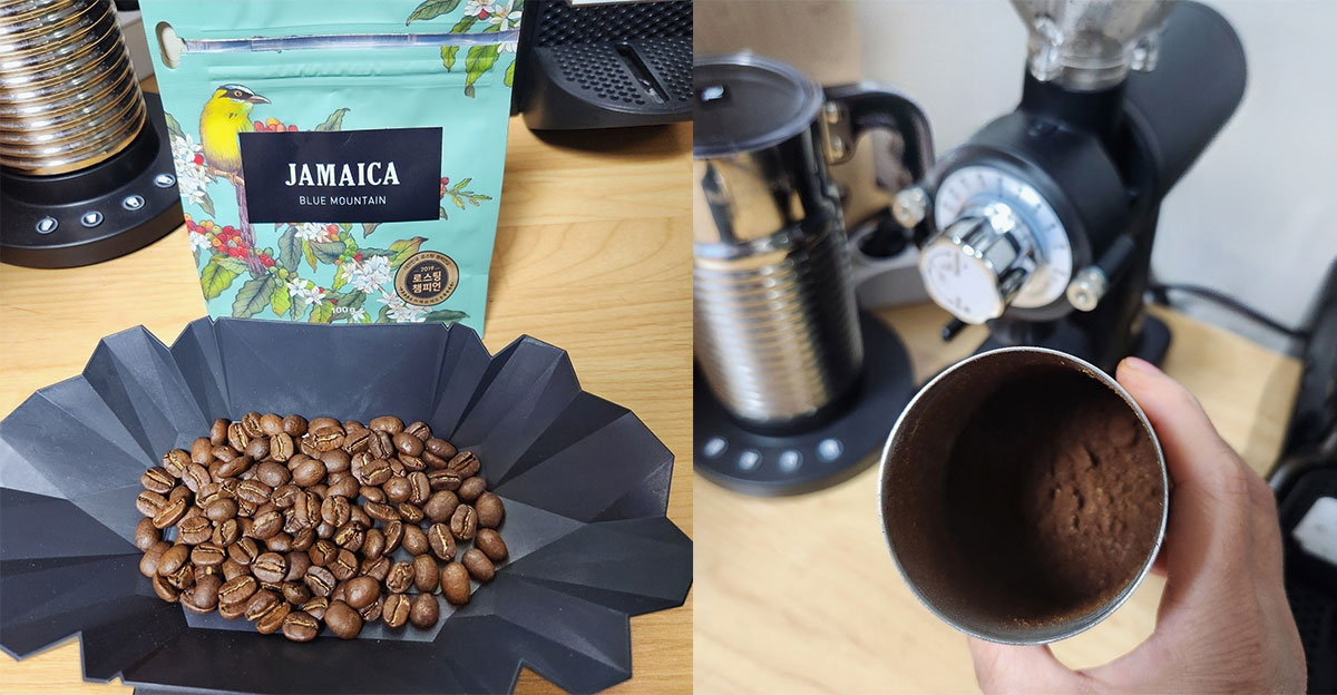 블루마운틴 원두와 분쇄된 원두가루