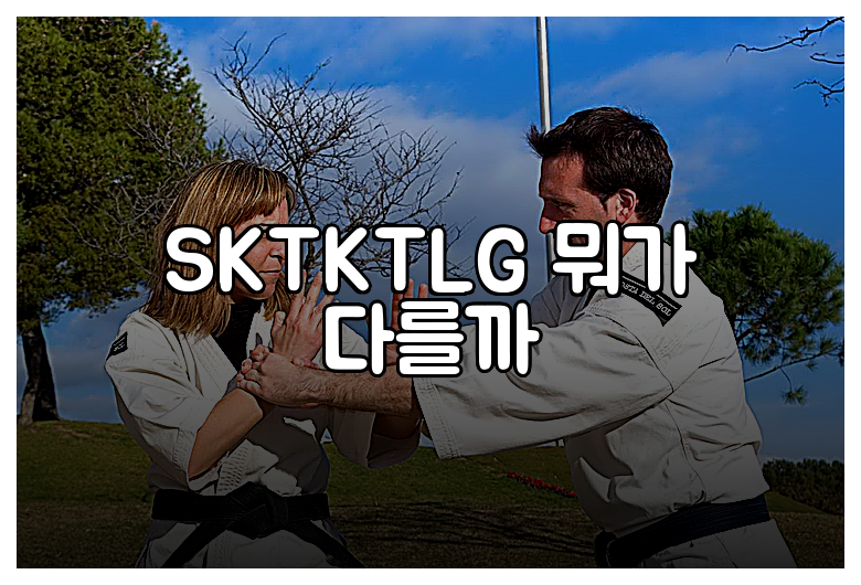 SKTKTLG 뭐가 다를까