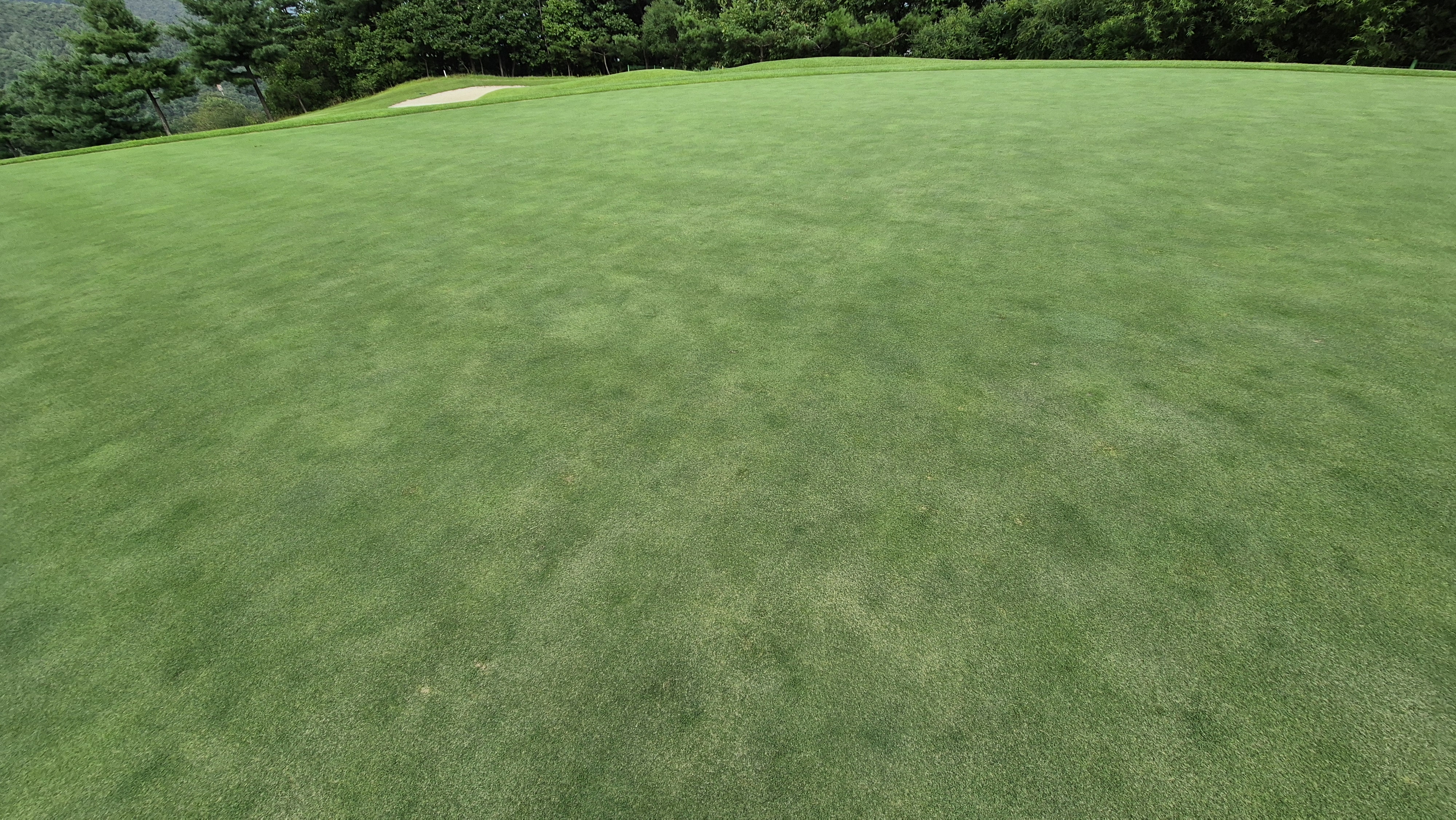 참밸리cc 라운드 후기