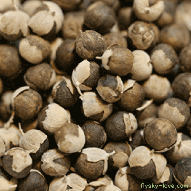 순비기나무 열매, 만형자 효능