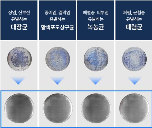 미로 가열식 가습기