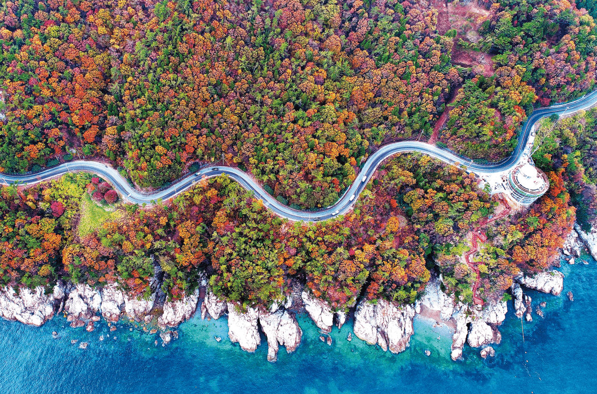 남해 자동차 드라이브] 굽이굽이 물미해안도로