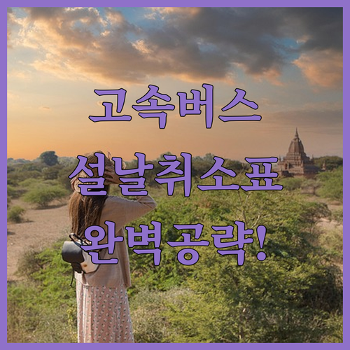 티머니GO 고속버스 예매 순서와 설날..