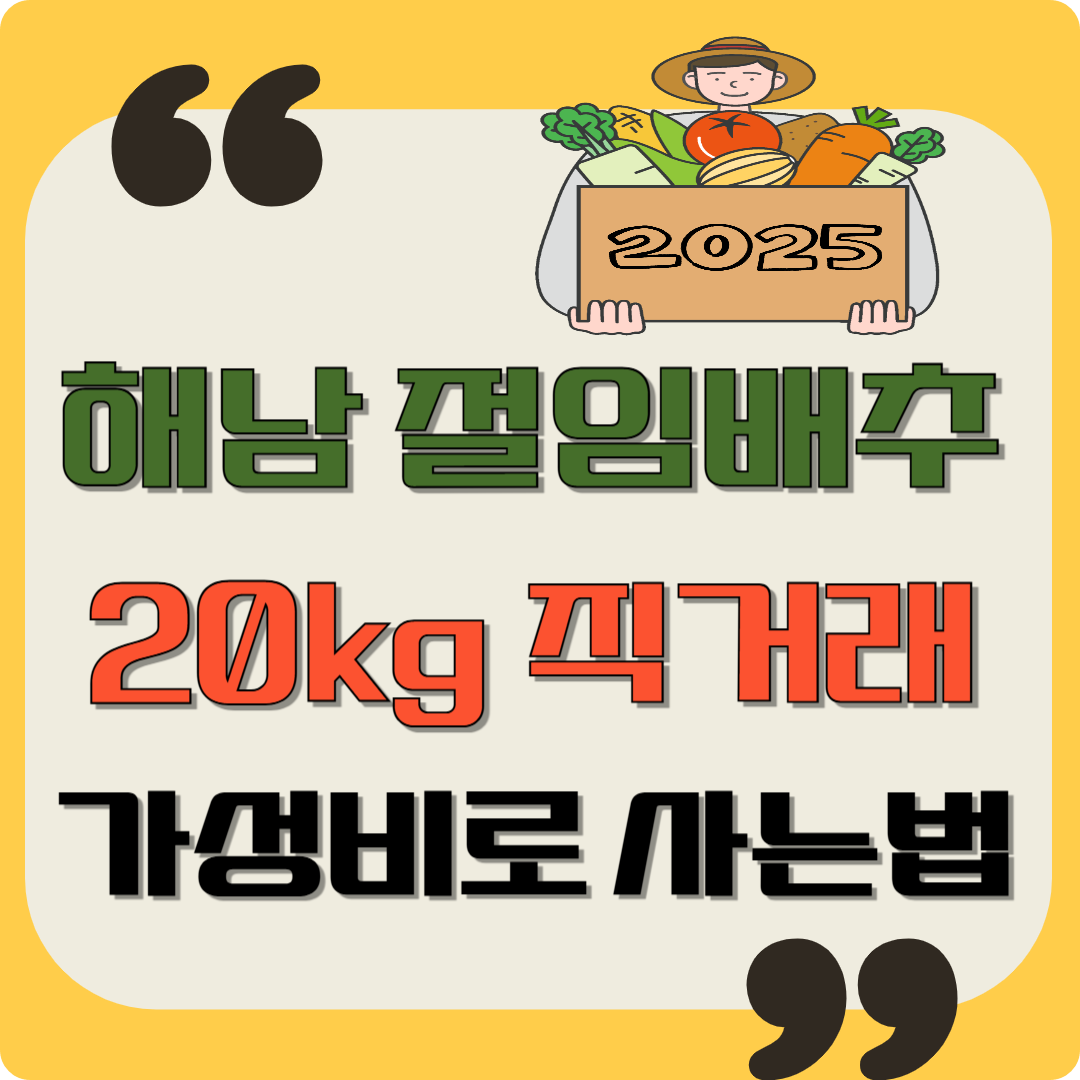 2025 해남 절임배추 20kg 직거래 가성비로 사는법 이미지