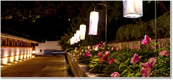 화성행궁 야간개장 수원 가볼만한곳 무료입장