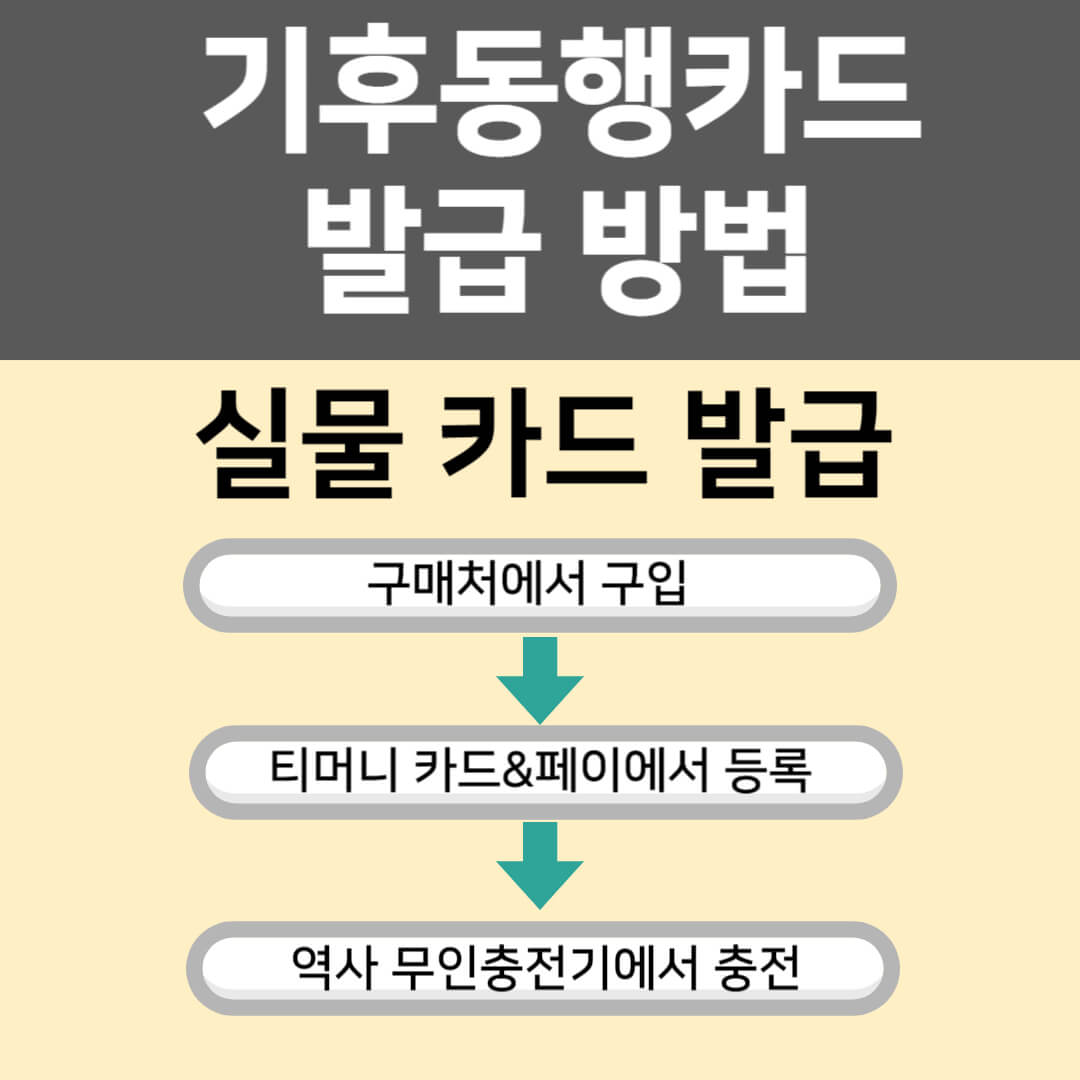 기후동행카드
