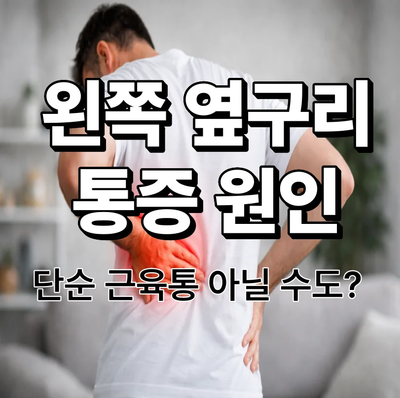 왼쪽 옆구리 통증 원인