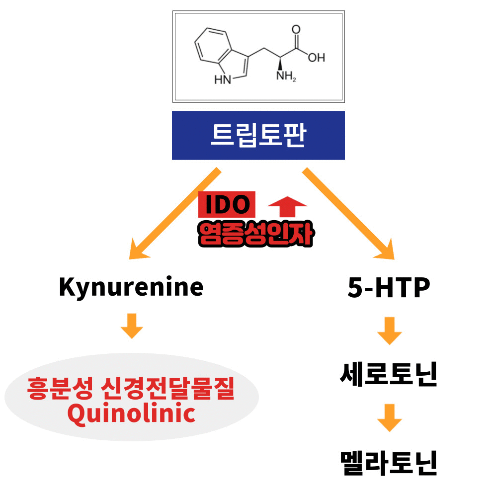 수면유도제