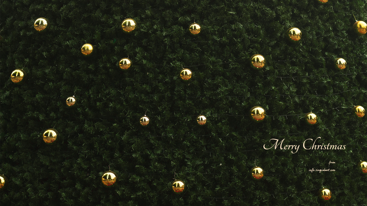 12 크리스마스 금색 장식볼 C - Merry Christmas 크리스마스배경화면