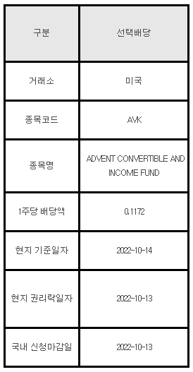 미국주식 선택배당 안내 AVK