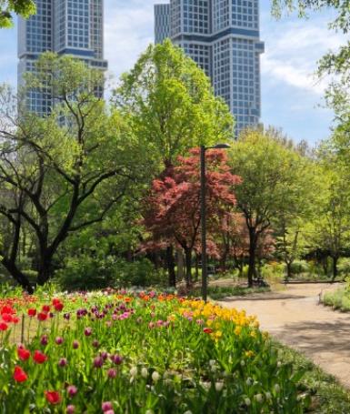 서울단풍명소 추천