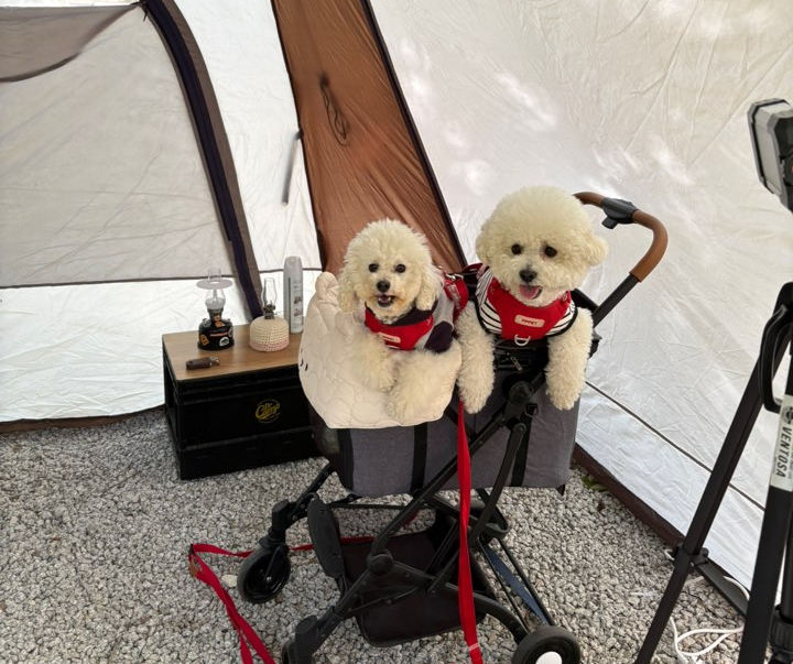 ▲ 2025 반려동물 헬스케어 혁신