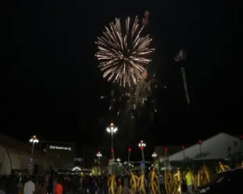 금산 인삼축제_10