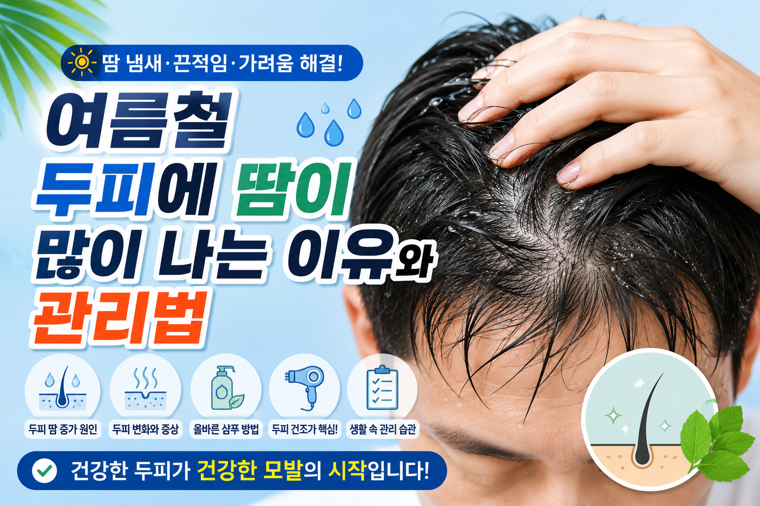 여름철 두피에 땀이 많이 나는 이유와 관리법