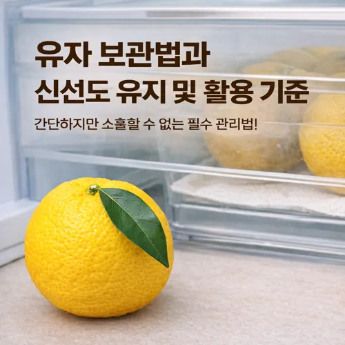 유자 보관법과 신선도 유지