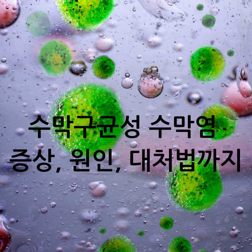 수막구균성 수막염 증상, 원인, 대처법