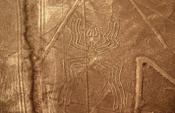 나스카 라인은 누가, 왜 만들었을까? 하늘에서만 보이는 페루의 거대한 지상화