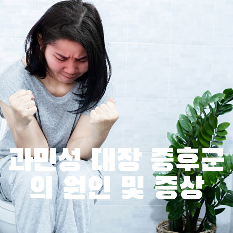 과민성 대장 증후군의 원인 및 증상