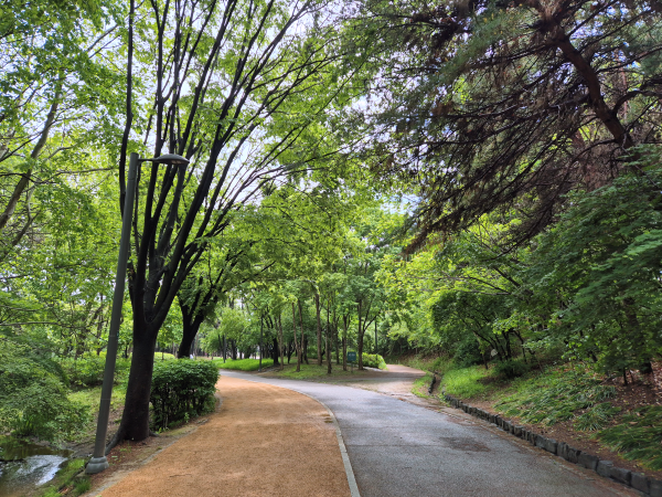 햇살이 비치는 서울숲의 한적한 산책길, 흙길과 포장된 길이 나란히 이어져 있음