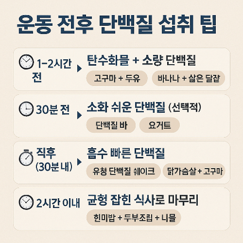 운동 전후 단백질 섭취 팁