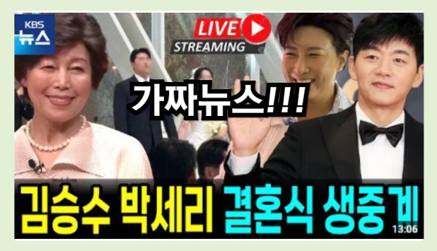 900만 조회수가 증명한 AI 가짜뉴스 공포, 박세리 김승수 결혼설 배후의 'AI 슬롭'